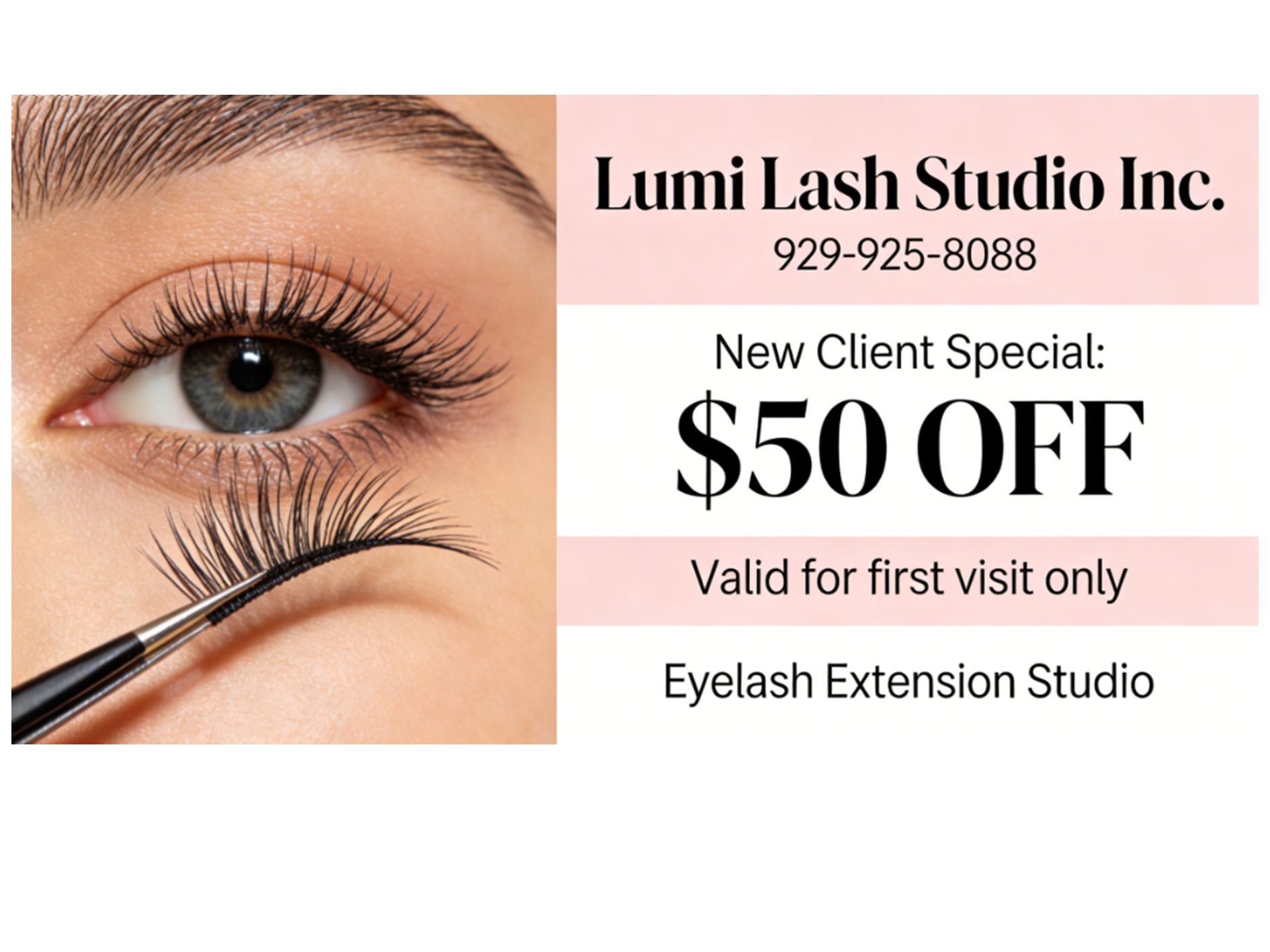 Special Offer